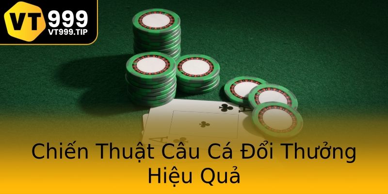 Chiến Thuật Câu Cá Đổi Thưởng Hiệu Quả Chiến Thuật Câu Cá Đổi Thưởng Hiệu Quả