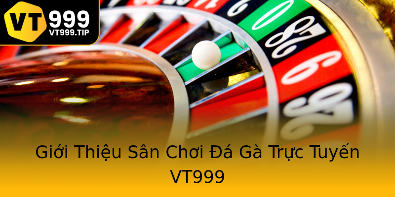 Giới Thiệu Sân Chơi Đá Gà Trực Tuyến VT999 Giới Thiệu Sân Chơi Đá Gà Trực Tuyến VT999
