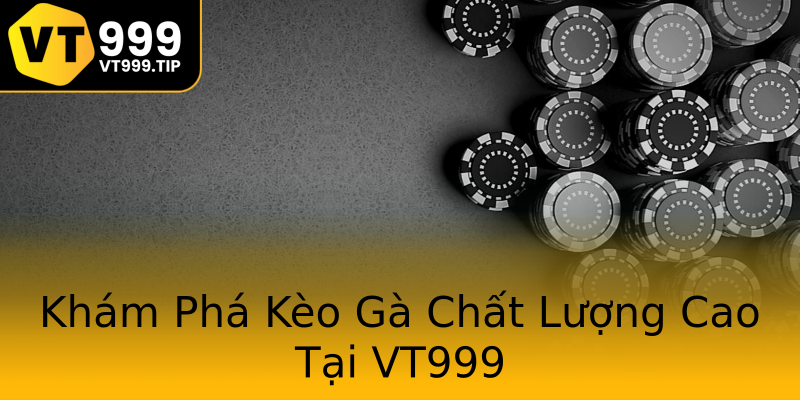Khám Phá Kèo Gà Chất Lượng Cao Tại VT999 Khám Phá Kèo Gà Chất Lượng Cao Tại VT999