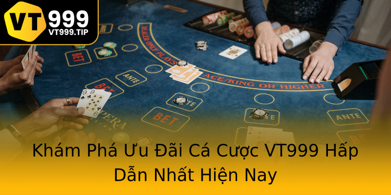 Khám Phá Ưu Đãi Cá Cược VT999 Hấp Dẫn Nhất Hiện Nay Khám Phá Ưu Đãi Cá Cược VT999 Hấp Dẫn Nhất Hiện Nay