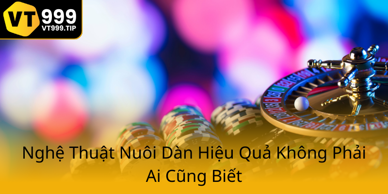 Dàn Đề 20 Số Bất Bại VT999 – Bí Quyết Chinh Phục Giải Thưởng Lớn 1 Nghe Thuat Nuoi Dan Hieu Qua Khong Phai Ai Cung Biet0