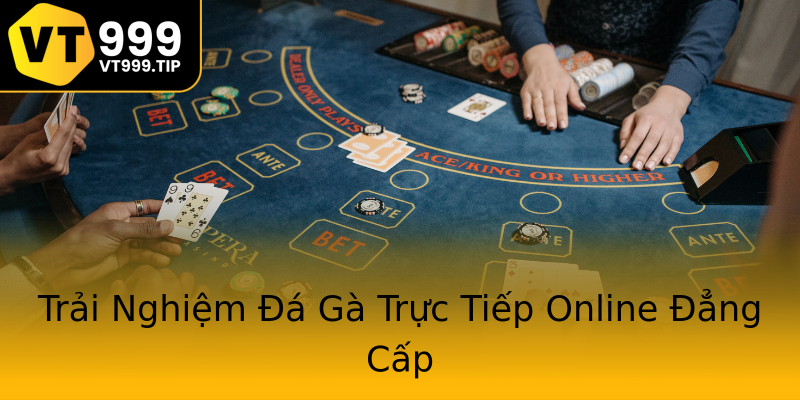 Trải Nghiệm Đá Gà Trực Tiếp Online Đẳng Cấp Trải Nghiệm Đá Gà Trực Tiếp Online Đẳng Cấp