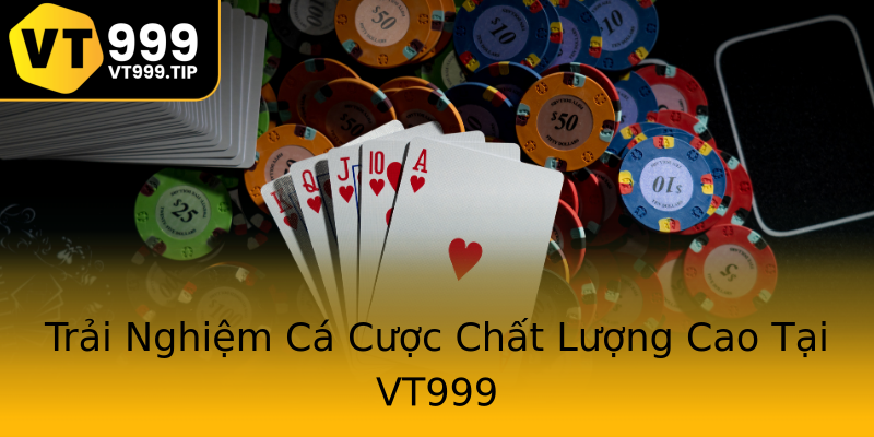 Trải Nghiệm Cá Cược Chất Lượng Cao Tại VT999 Trải Nghiệm Cá Cược Chất Lượng Cao Tại VT999